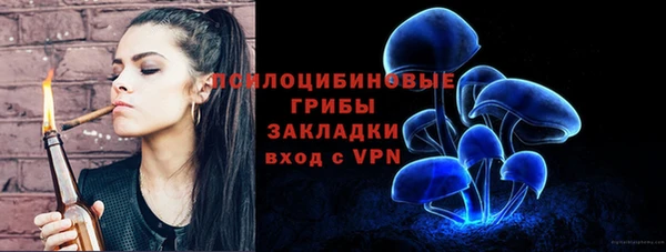 дживик Арсеньев