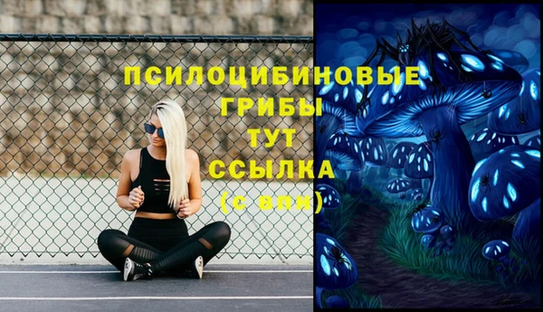 дживик Арсеньев