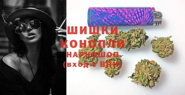 дживик Арсеньев