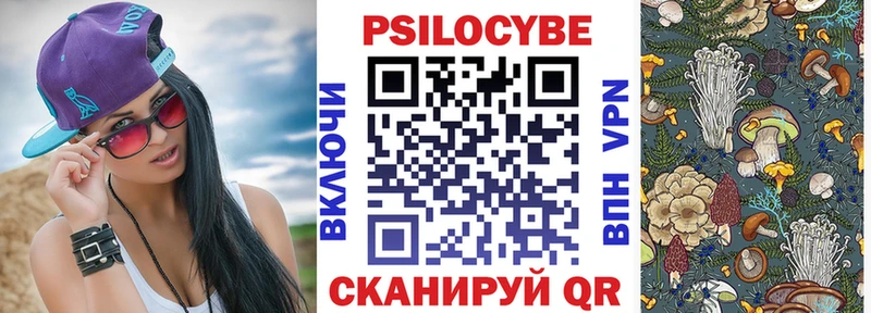 Галлюциногенные грибы Psilocybe  Знаменск 